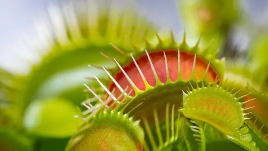 Avoiding pitfalls in proposal writing