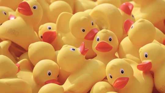 When is better to lose a quote?