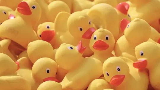 When is better to lose a quote?